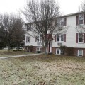 What Should I Do If My Neighbor's Trees Need Trimming in Winchester, Virginia?